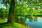 fotografia 3d